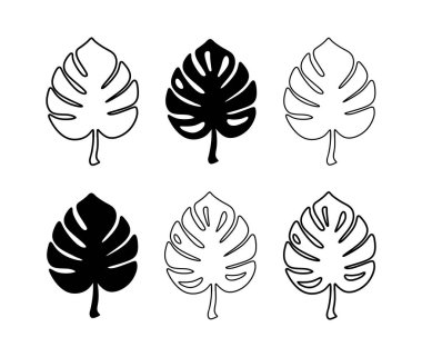 Monstera Leaf Siyah Siluet Vektör Simgesi Çizimi. Tropikal egzotik dış hatlar izole edilmiş yaprak seti. Posterler, kartlar, Fotoğraf, Kaplama, Yazdırma, Vinil duvar etiketi çıkartması. Çizici lazer kesme. Dekorasyon.