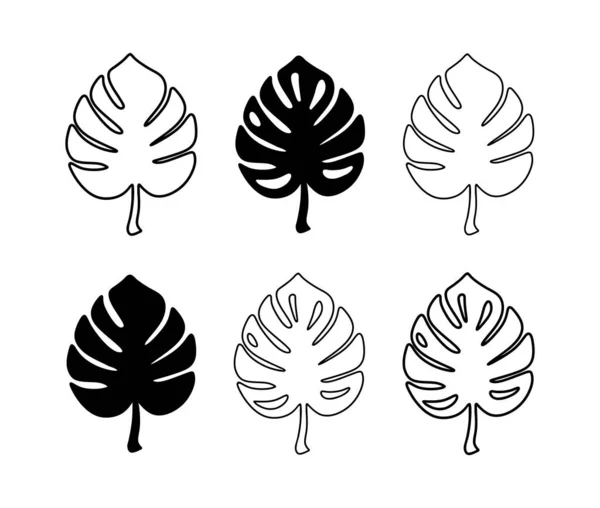Monstera Leaf Siyah Siluet Vektör Simgesi Çizimi. Tropikal egzotik dış hatlar izole edilmiş yaprak seti. Posterler, kartlar, Fotoğraf, Kaplama, Yazdırma, Vinil duvar etiketi çıkartması. Çizici lazer kesme. Dekorasyon.