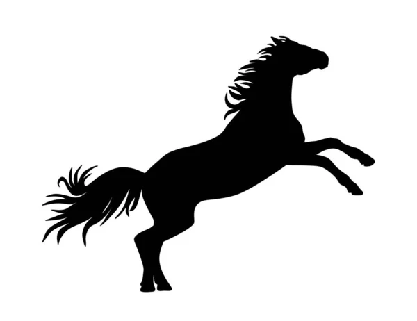 Vector Paard Staande Stencil Silhouet Tekening Illustratie Geïsoleerd Witte Achtergrond — Stockvector