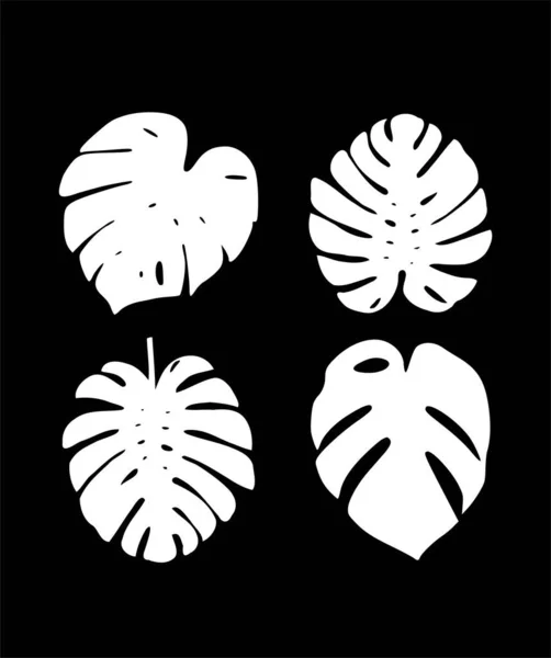 Blanco Negro Monstera Hoja Silueta Vector Icono Dibujo Conjunto Hojas — Vector de stock