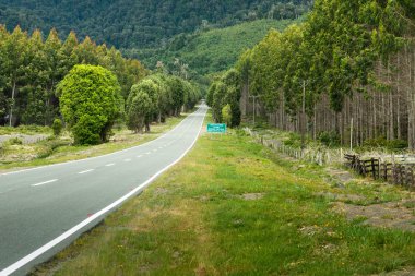 Şili'deki yol