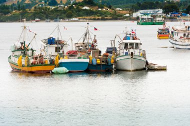 Dalcahue, Chiloe Adası