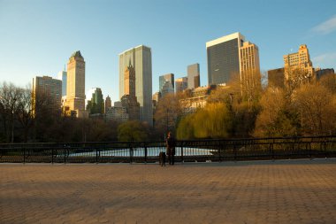 New York, ABD - Central Park 'tan Manhattan şehir merkezinin silüeti.