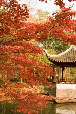 Mütevazı Yönetici Bahçesi, Suzhou, Jiangsu ili, Çin, Asya