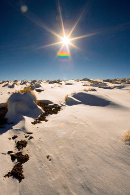 Altiplano (Yüksek And Platosu), Los Flamencos Ulusal Rezervi, Atacama Çölü, Antofagasta Bölgesi, Şili, Güney Amerika