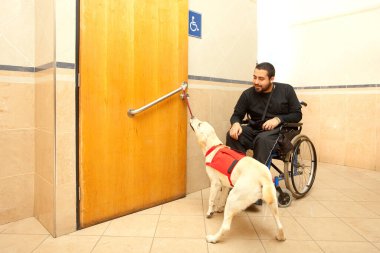 Süpermarketin tuvaletinde eğitimli bir köpeğin yardımıyla tekerlekli sandalyedeki adam.