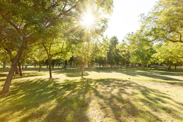 Tráva Stromy Parque Higgins Starosta Městského Parku Downown Santiago Chile — Stock fotografie