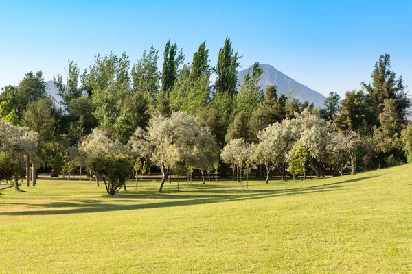 Padre Hurtado Park Voorheen Bekend Als Parque Intercomunal Reina Het — Stockfoto