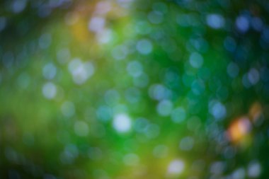 parlak ve ufuk ışık arka plan. Yeşil bokeh adam