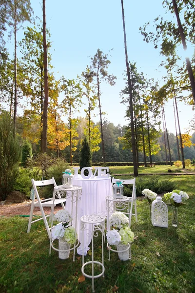 Cena romántica de boda para dos en el bosque verde — Foto de Stock