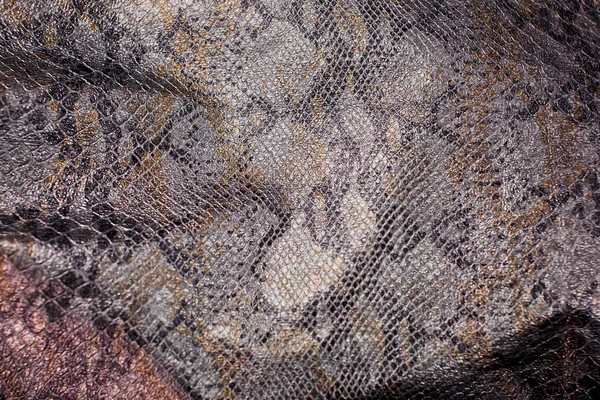 Piel de serpiente textura —  Fotos de Stock