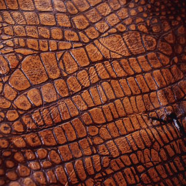 Timsah derisi dokusu