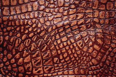 Timsah derisi dokusu