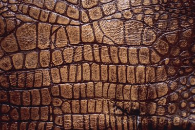 Timsah derisi dokusu