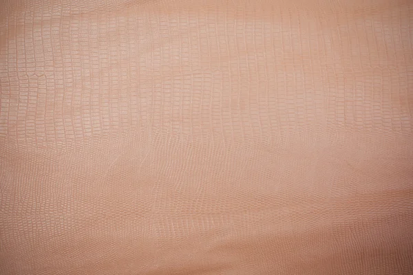 gros plan de lhomme de peau macro epidermis photo thinkstock gros plan de la peau humaine et les poils sur les bras photographie lifeonwhite 169 10886470 gros plan de lhomme de peau macro epidermis photo thinkstock gros plan de la peau humaine et les poils sur les bras photographie lifeonwhite 169 10886470