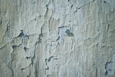 beyaz duvar çatlakları ile