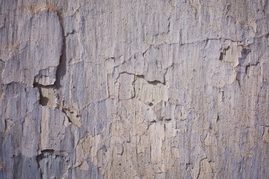 beyaz duvar çatlakları ile