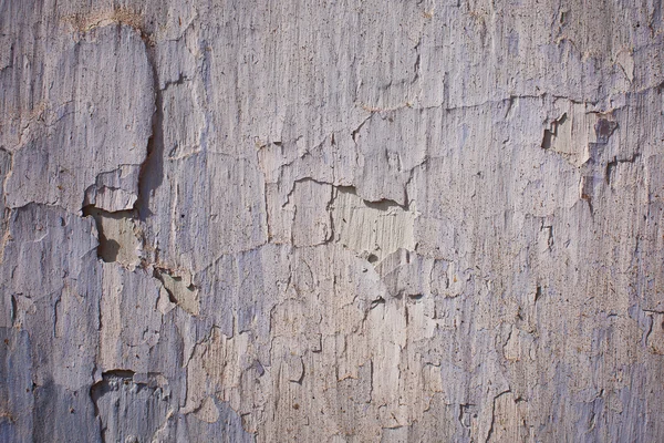 beyaz duvar çatlakları ile