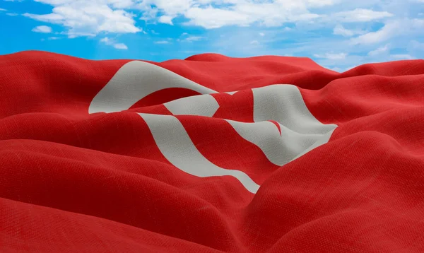 Tunus Bayrağı Rüzgarda Savruluyor Gerçekçi Dalgalı Kumaş Bayrağı Görüntüleme — Stok fotoğraf