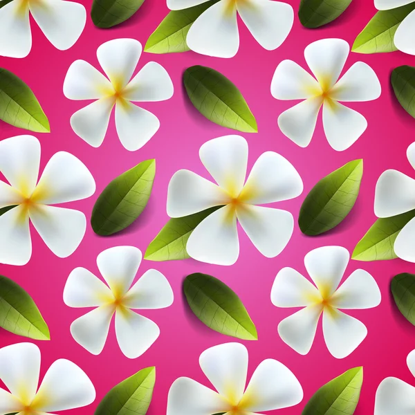 Frangipani fiori modello senza soluzione di continuità — Vettoriale Stock