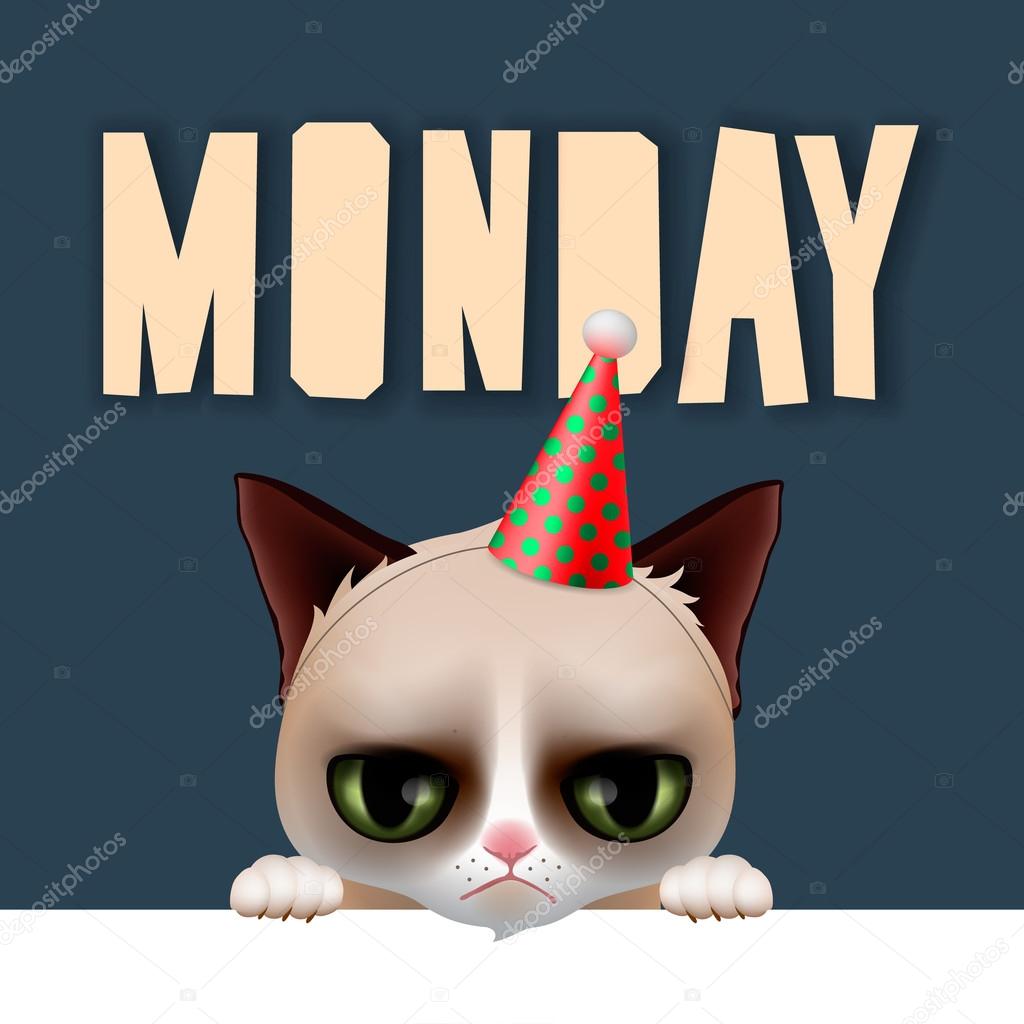 Monday morning with cute grumpy cat Stock Vector by ©ikopylove 89581260, image size:1024x1024