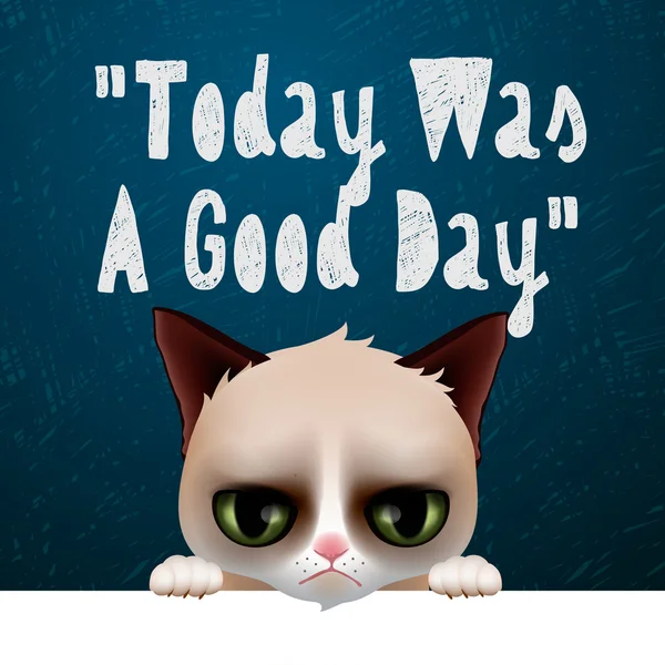 Today was a good day, card with cute grumpy cat — Stock Vector