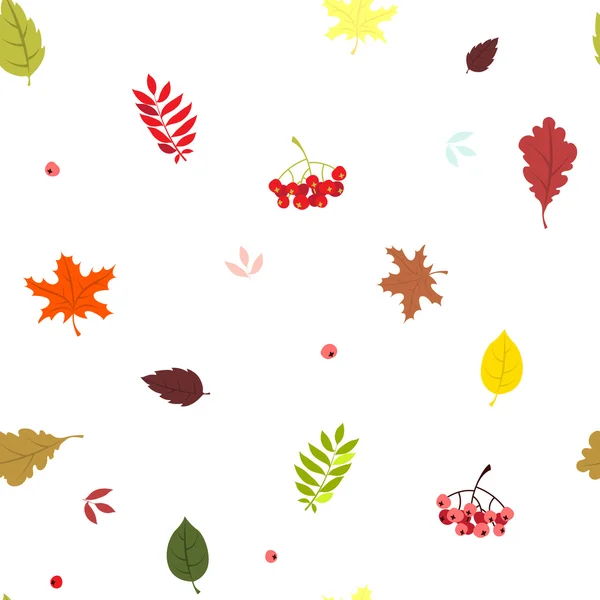 Φθινόπωρο χωρίς ραφή πρότυπο με φωτεινά φύλλων πτώσης: δρυς, σφενδάμου, bir — Διανυσματικό Αρχείο