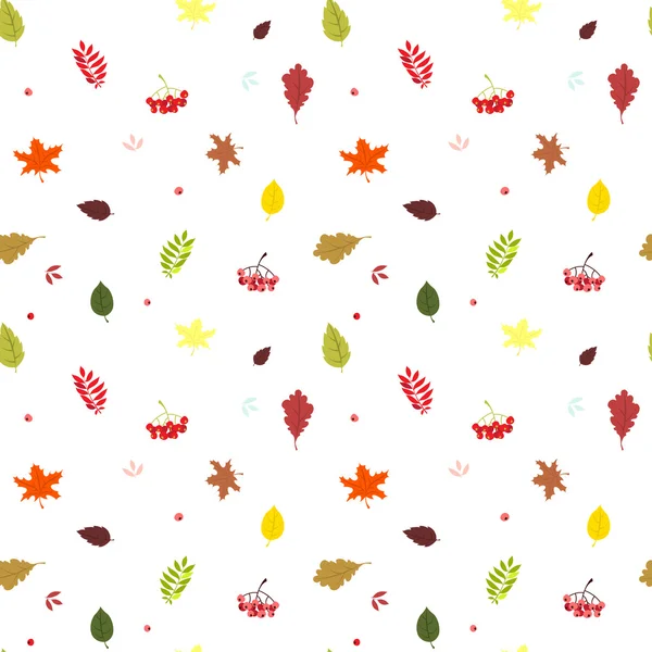 Autumn seamless pattern with fall bright leaves: oak, maple, bir — Stock Vector