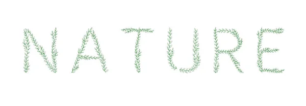 Letras Naturaleza Letras Rama Árbol Verde Alfabeto Abc Letras Mayúsculas — Vector de stock