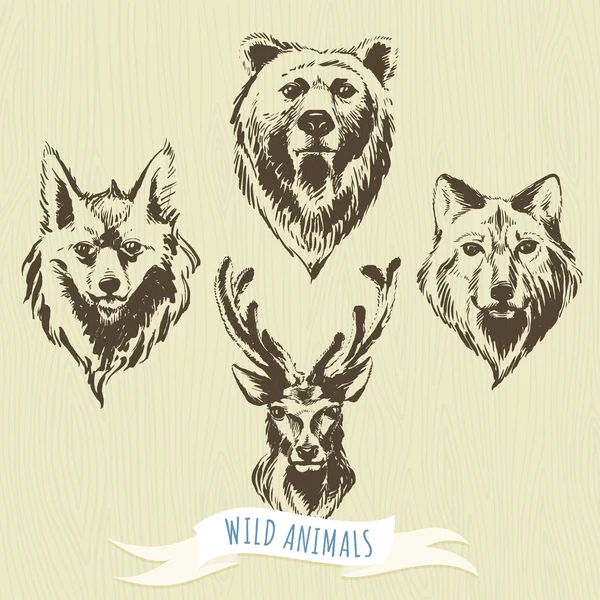 Juego de marcadores de animales forestales dibujados a mano: lobo, oso, ciervo, zorro — Vector de stock