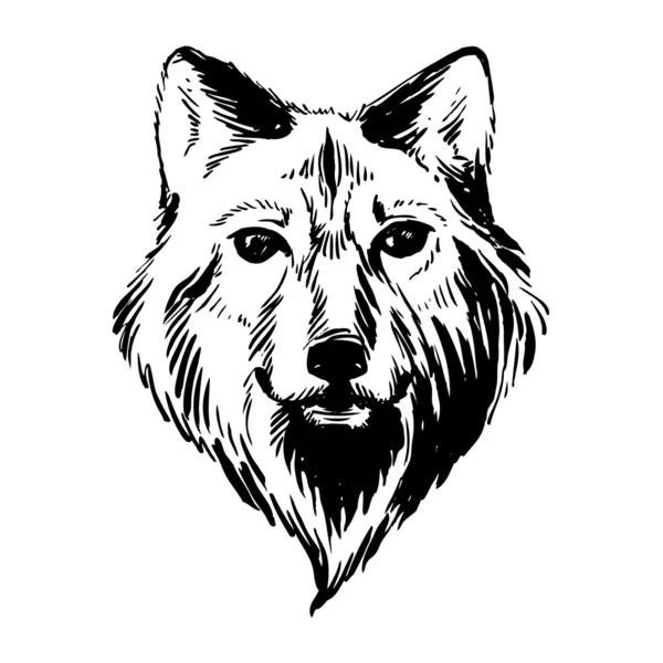 标记手绘森林动物： 狼 — 图库矢量图片