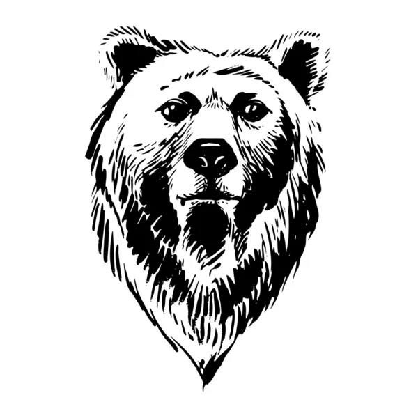 Marcatore animali forestali disegnati a mano: orso — Vettoriale Stock