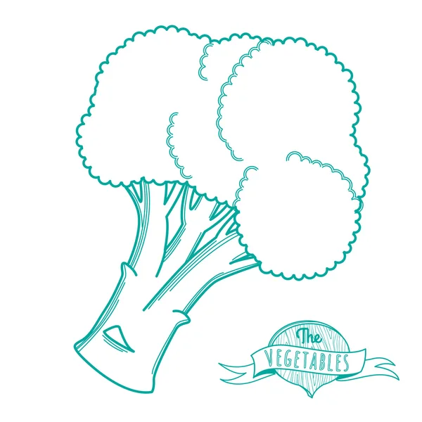Principskiss hand dras för broccoli (platt stil, tunna linjen) — Stock vektor