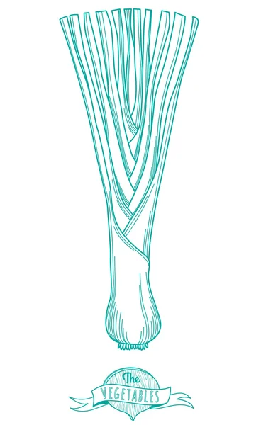 Bosquejo dibujado a mano de puerro (estilo plano, línea delgada ) — Archivo Imágenes Vectoriales