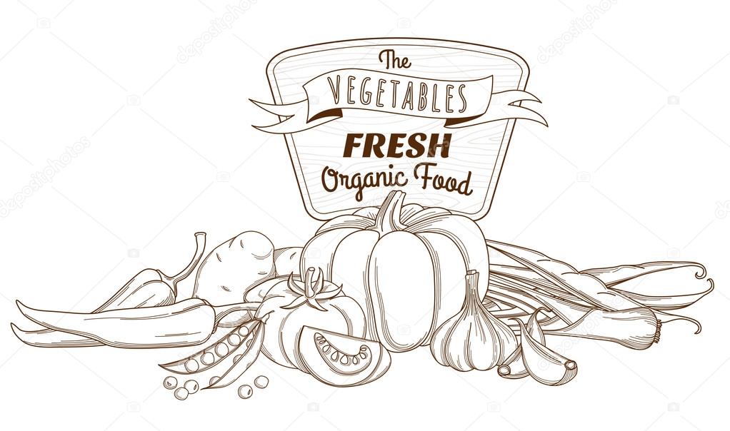 Vegetarian Food. Vegetable Hand Drawn Vintage Vector Illustration. Farm  Market Poster. Healthy Life. Vector Composition Of Fresh Vegetables.  Detailed Food Drawing. Great For Menu, Banner, Flyer Royalty Free SVG,  Cliparts, Vectors, and