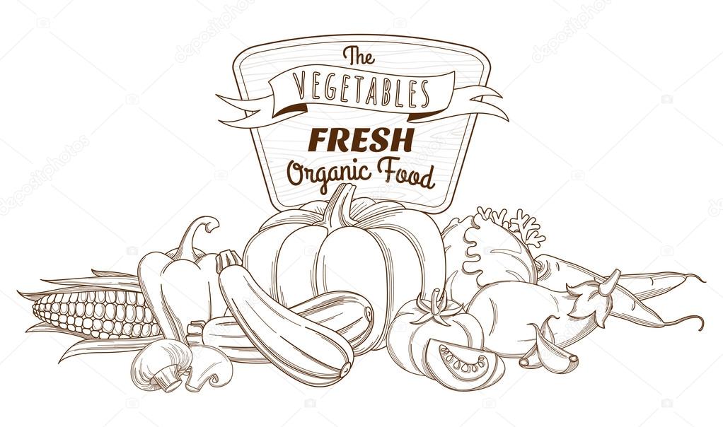 Sketch Of Vegetables PNG, Vector, PSD, and Clipart With Transparent  Background for Free Download | Pngtree