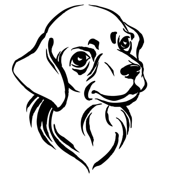 Hand drawn portrait of dog labrador. Black and white — Stock Vector