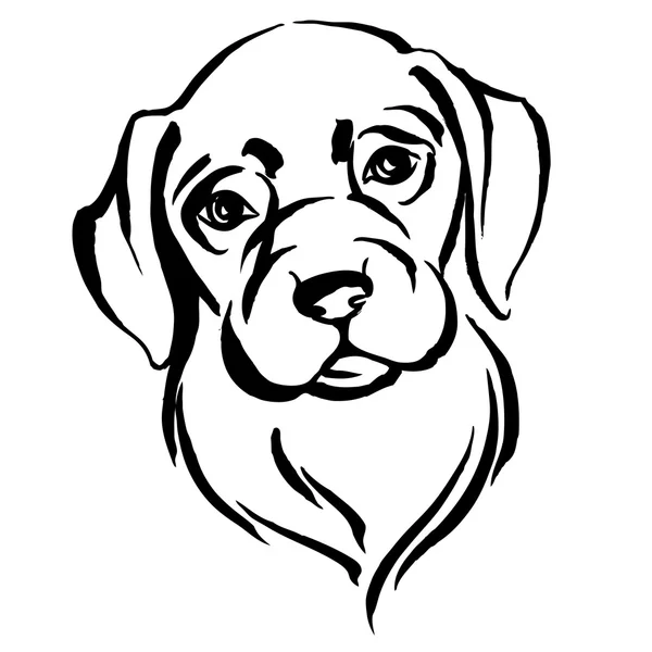 Hand drawn portrait of dog labrador. Black and white — Stock Vector