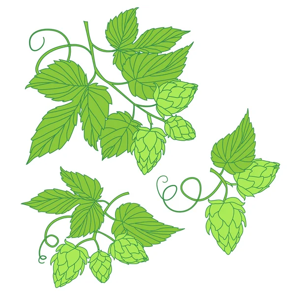 Icono de la ilustración del vector de lúpulo o logotipo, ideal para la cerveza, stout, un — Archivo Imágenes Vectoriales
