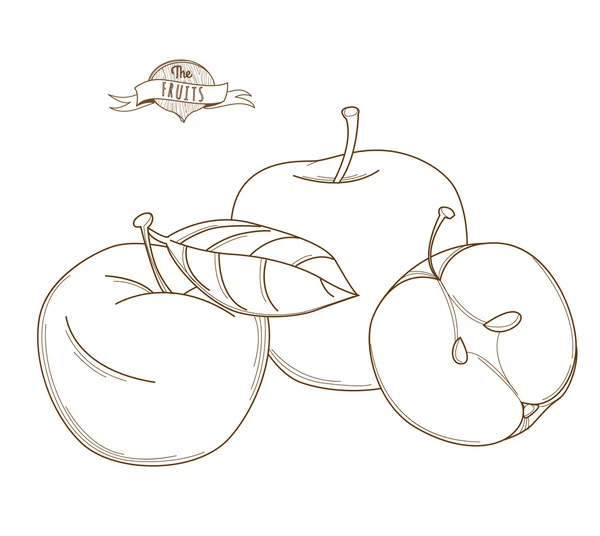 Vektor Illustration Umriss handgezeichneten Apfel (flache Art, dünne l — Stockvektor