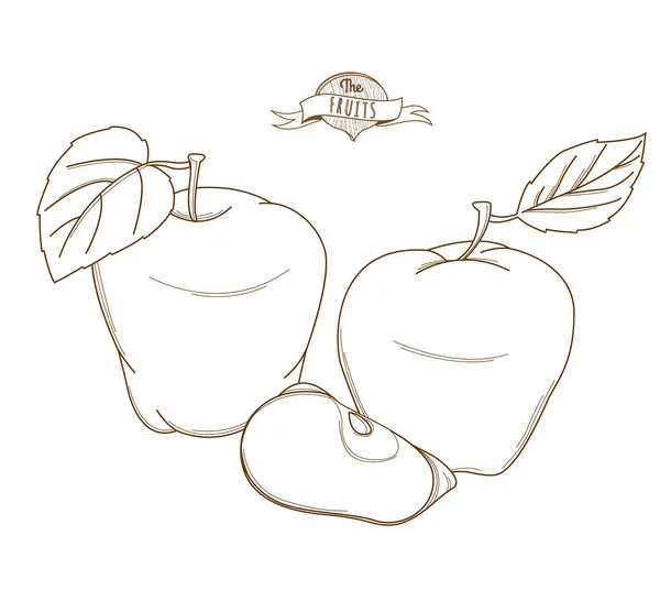 Ilustración vectorial Esquema dibujado a mano manzana (estilo plano, l delgada — Archivo Imágenes Vectoriales