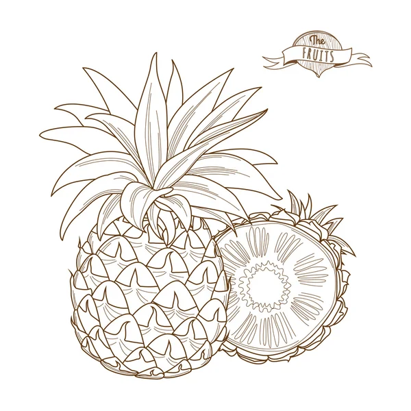 Ananas disegnato a mano contorno (stile piatto, linea sottile). Pino singolo — Vettoriale Stock