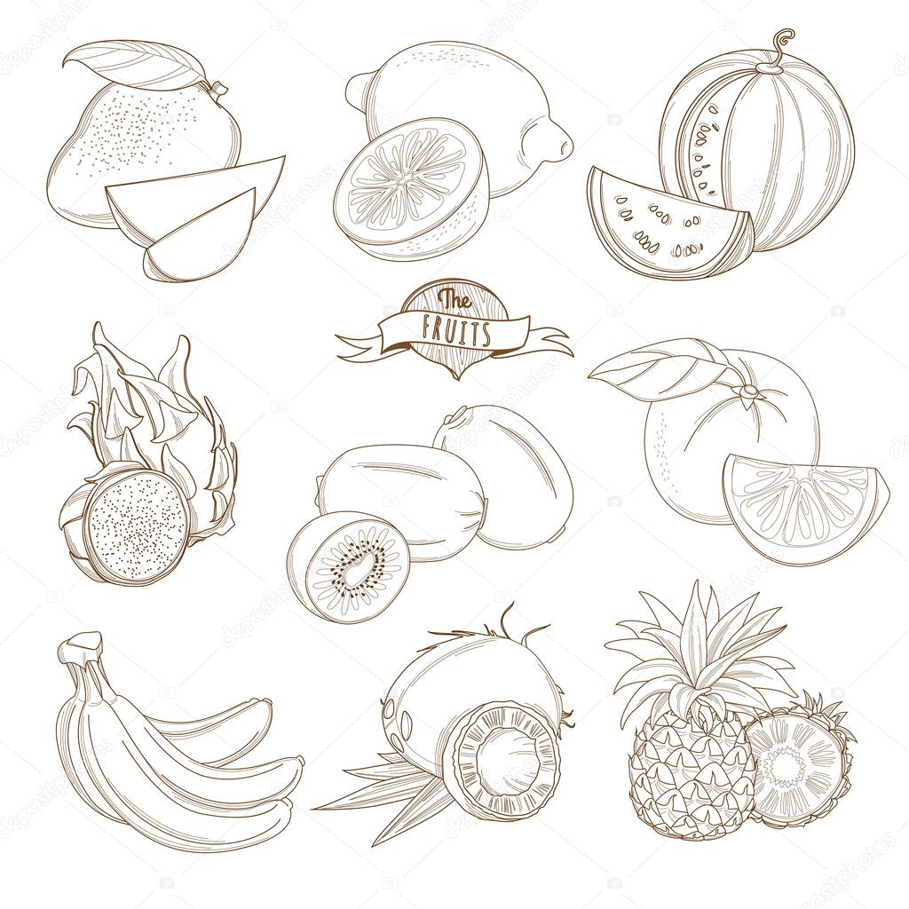 Vector illustration Set of Outline hand drawn fruits with leaves ( mango, lemon, watermelon, dragonfruit, kiwi, orange, grapefruit, banana, coconut, pineapple)