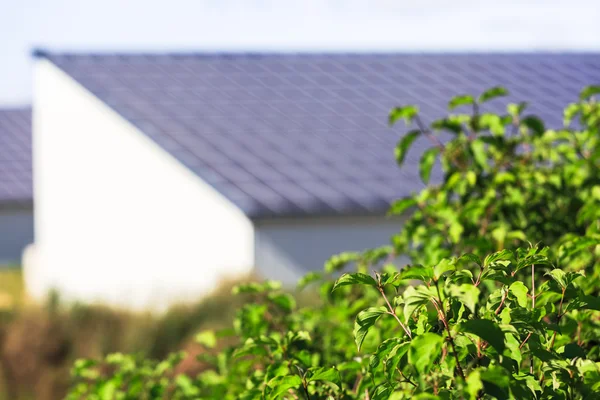 Sebze ile fotovoltaik güneş panelleri arka plan üzerinde — Stok fotoğraf