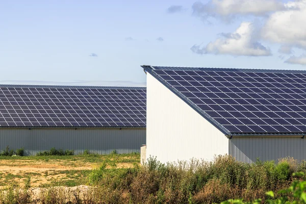 Photovoltaic Solar Panels on agricultural warehouses — Stock Photo, Image