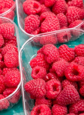 Yerel çiftlik Market kutularındaki Kırmızı Ahududu.