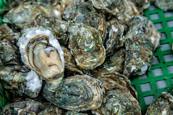 Fundo de ostras com Open Oyster — Fotografia de Stock