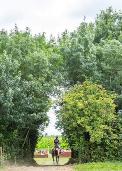 Rider on her galloping horse during a cross country manisfestation