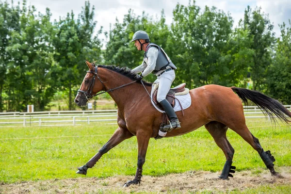 Saint Cyr du Doret, France - July 29, 2016: Rider on his galloping horse during a cross country manisfestation — Stock Photo, Image