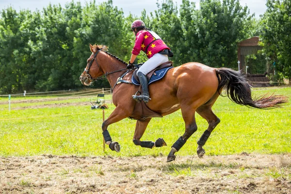 Saint Cyr du Doret, Frankrike - 29 juli 2016: Rider på hennes galopperande häst under en terränglöpning manisfestation — Stockfoto